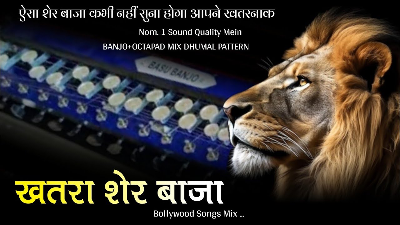     Bollywood Remix Song  Banjo Pad Mix Music  Armaan Padist