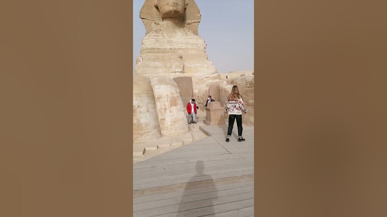 Unique VIP visit of the Sphinx paws YouTube