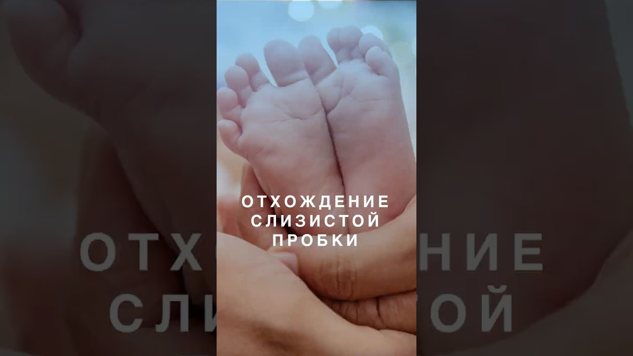 Слизистая пробка - что это, когда отходит!? Стоит ехать в роддом!?