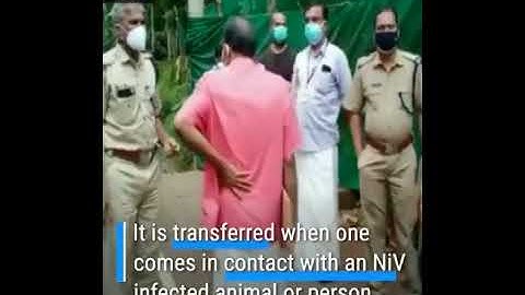 Authorities race to contain deadly Nipah virus outbreak in India, which once again is linked to bats