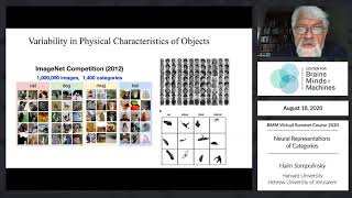 Neural Representations of Categories