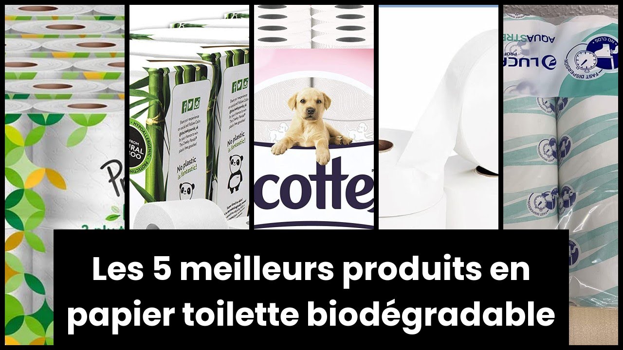 Papier Toilette Biodegradable Lidlnull