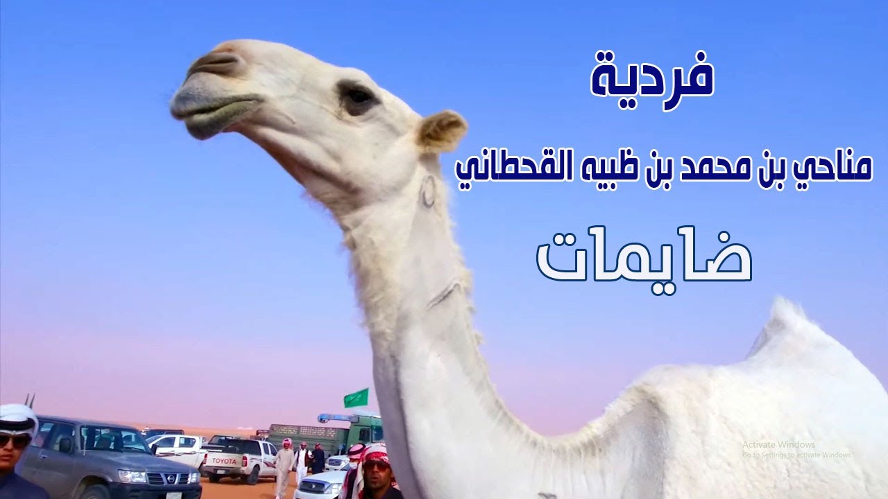 فردي دق وضح / مناحي بن محمد بن ظبيه القحطاني ( ضايمات 2021 )