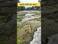 राजगढ़ के भोजपुरीया गाँव की सच्ची कहानी”#HorrorStory #KalaPani #Rajgarh #shorts #viral #reels