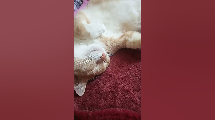 лайк и маня❤