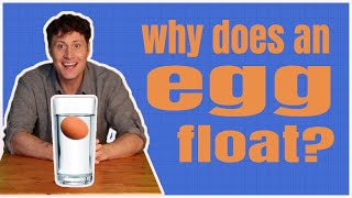 Why does an egg float in salt water?