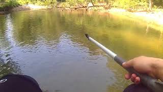 Catching catfish on the saline river