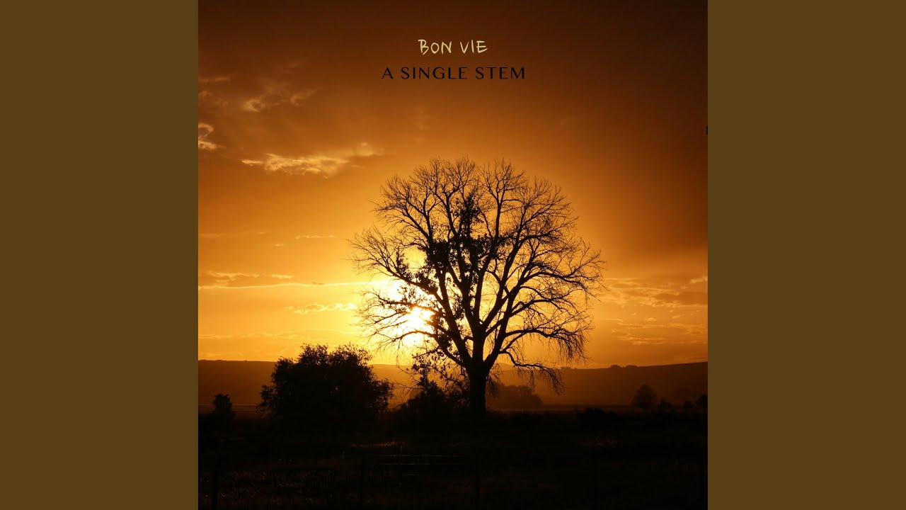 A Single Stem auf YouTube ansehen A Single Stem auf YouTube ansehen