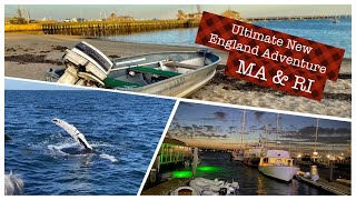 Whale Watching in Cape Cod & More