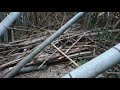 ［竹林伐採手順］最初にやる事はこれ！！ の動画、YouTube動画。