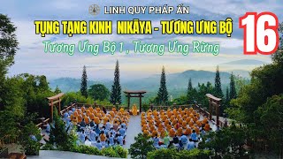 TỤNG TẠNG KINH NIKAYA 16 - Tương Ưng Bộ 1 , Tương Ưng Rừng