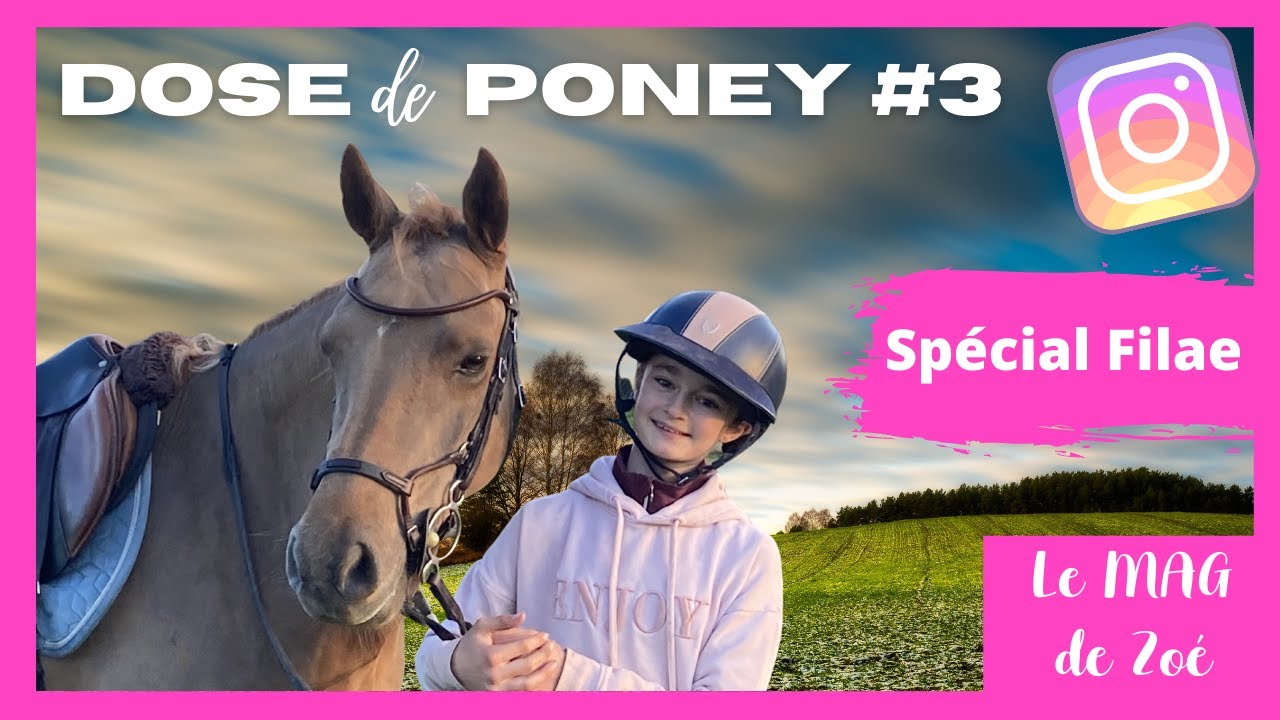 Agenda Les Poneys De Zoé 2022 2023