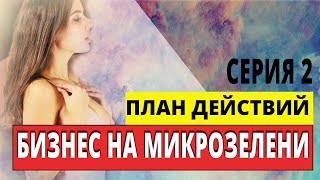 Бизнес на микрозелени.  Серия 2.  План действий.