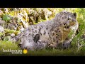 Protagonist's Challenges in Nature