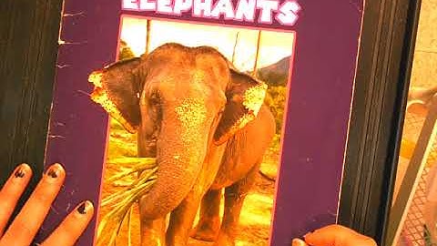 Unit 2 Week 3 Day 4 Readers Workshop