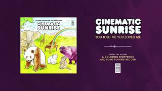 Watch Cinematic Sunrise You Told Me You Loved Me video