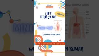 @mind map class 10 biology