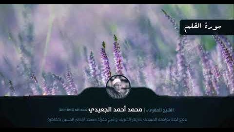 سورة القلم || الشيخ المقرئ محمد أحمد الجعيدي رحمه الله