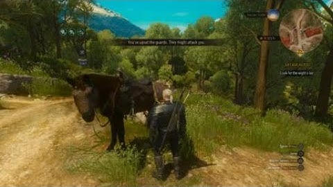 The Witcher 3: Wild Hunt – How do I pet Roach?