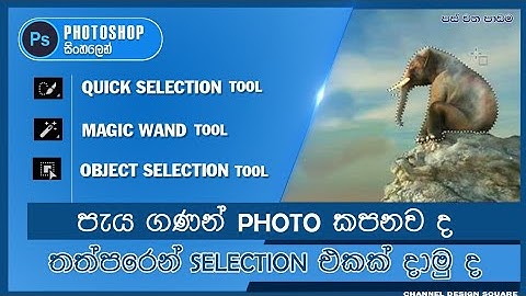 How to use Magic wand tool | Quick Selection Tool | Object Selection Tool | Photoshop Sinhala
