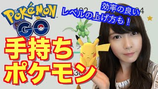 ポケモンgo ポッポを使ってレベル上げ 手持ちポケモンも紹介 Pokemongo もえりんちゃんねる Youtube