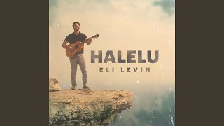 Vignette de la vidéo "Eli Levin - Halelu (feat. Pumpidisa)"