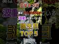 【生まれつき】実はとんでもない波動を持っている誕生日TOP5