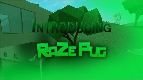 Introducing RaZe Pug