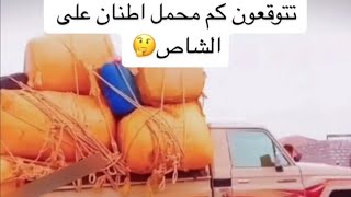 مقاوته ماسكين خط معا الفنان محمد حمود الحارثي