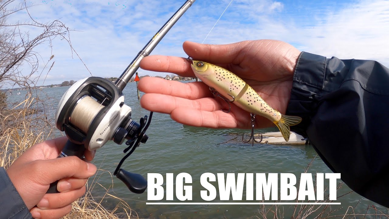 BIG GLIDEBAIT SWIMBAIT Fishing For Big Bass || S-Waver || Lake Norman NC