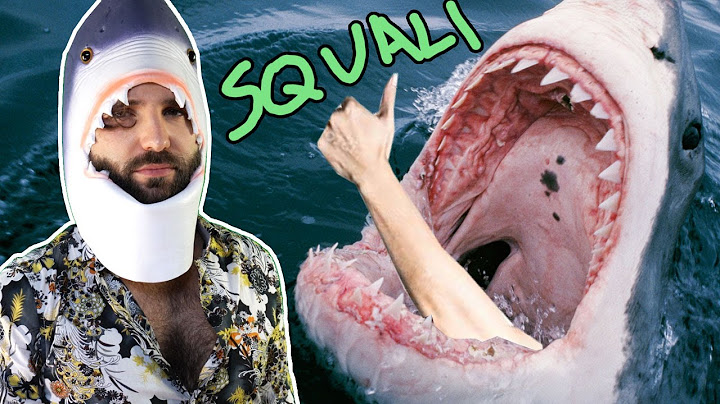 Cose che NON volevi sapere sugli SQUALI - SCIENZA BRUTTA
