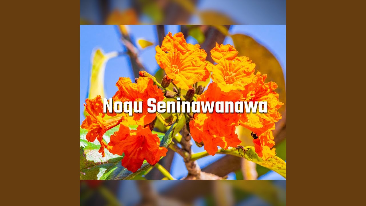 Noqu Seninawanawa (Live) - YouTube Music