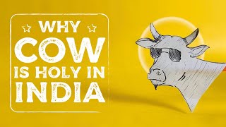 Why Are Cows Sacred In India ?