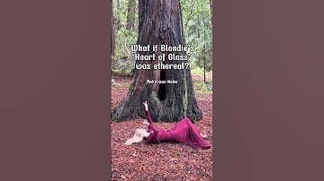 Heart of Glass Cover #blondie #heartofglass #redwoodforest