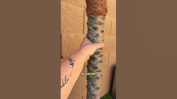 Outdoor Artificial Palms Fake trees,No maintenance, no watering required.#Tropicalpalmtrees