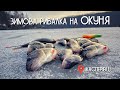 Зимова рибалка на окуня. Касперівці