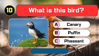 Guess the Poultry Animals #guess #quiz #trivia #birds