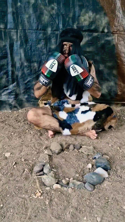 Download lagu Chiko Chiko becomes a boxer๐
โโ๏ธ๐ซฃ #comedy #funny #viralvideo