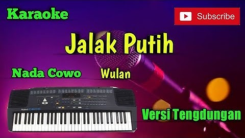 Jalak Putih ( Wulan ) Karaoke Nada Cowo Versi Sandiwaraan
