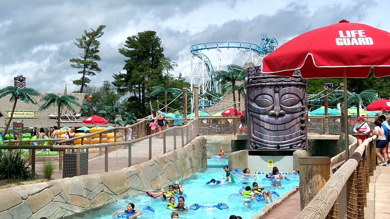 The 30th Annual NHSPCA Paws Walk Returns This June, image size:1280x720