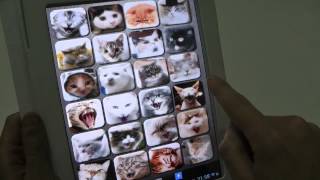 Cat Sounds App for Android screenshot 4