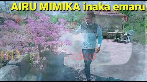 ##lagu Kamoro yapakopa 😎 inaka emaru #