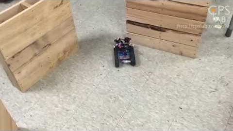 Human Centric Networked Mobile Robots