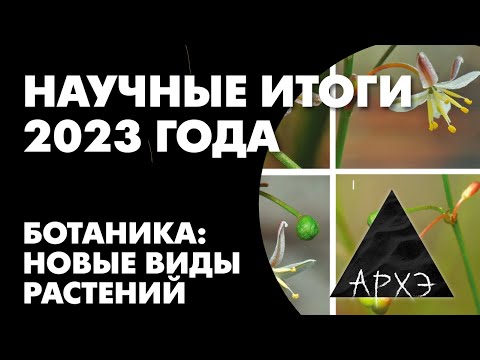 Алексей Серёгин: «Научные итоги 2023 года в ботанике: новые виды растений»