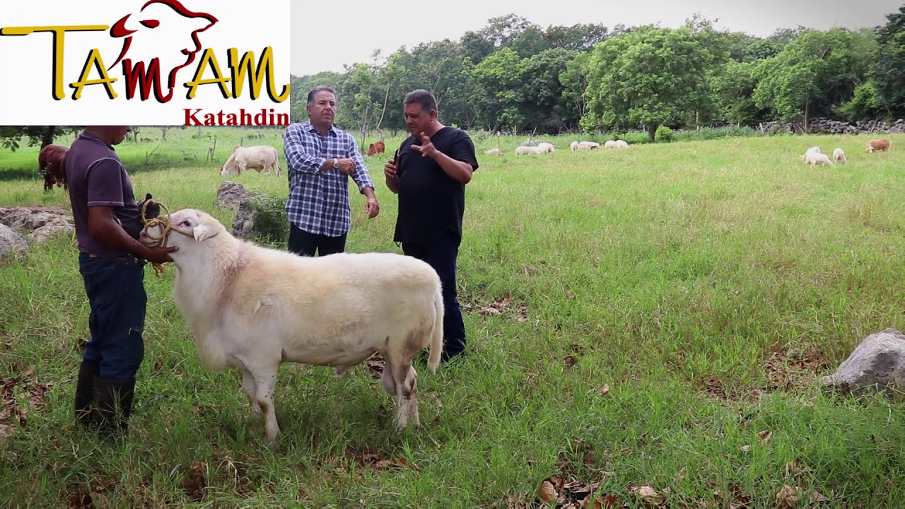 katahdin la entrevista segunda parte