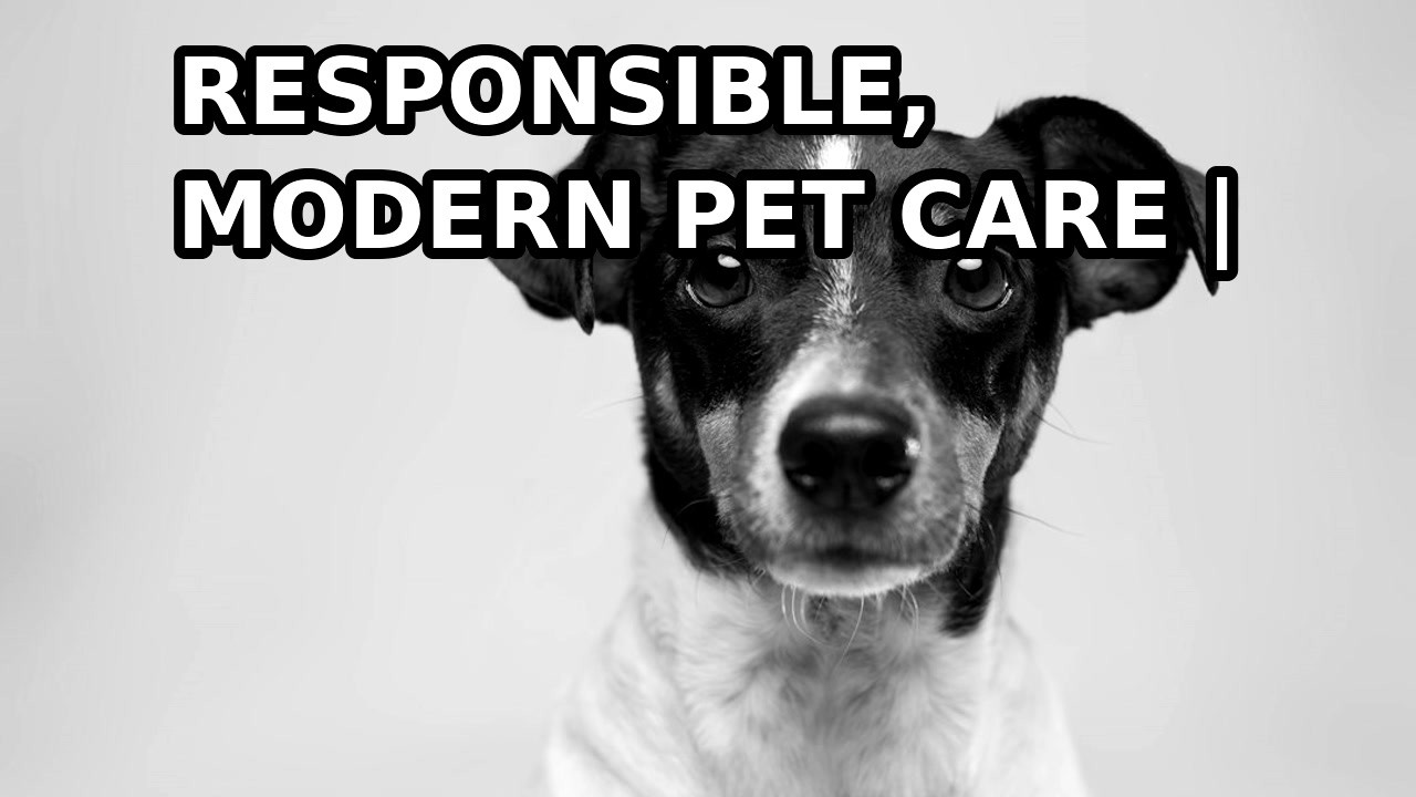 Responsible, modern pet care | HDL Group