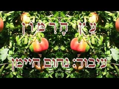 Regardez שיר עד - עץ הרימון - מילים: יעקב אורלנד | לחן: ידידיה אדמון | ביצוע: אברהם פררה - Ets ha'Rimon sur YouTube