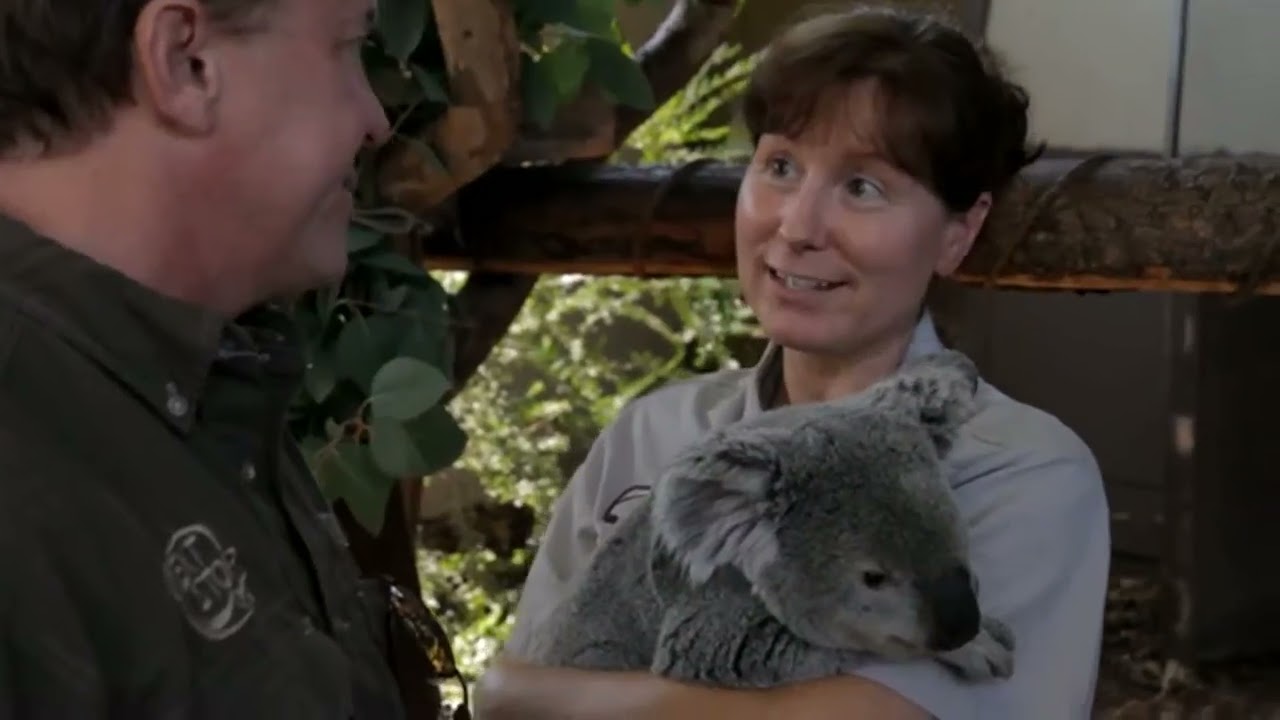 Best Of California - FAMILY TRAVEL GUIDE