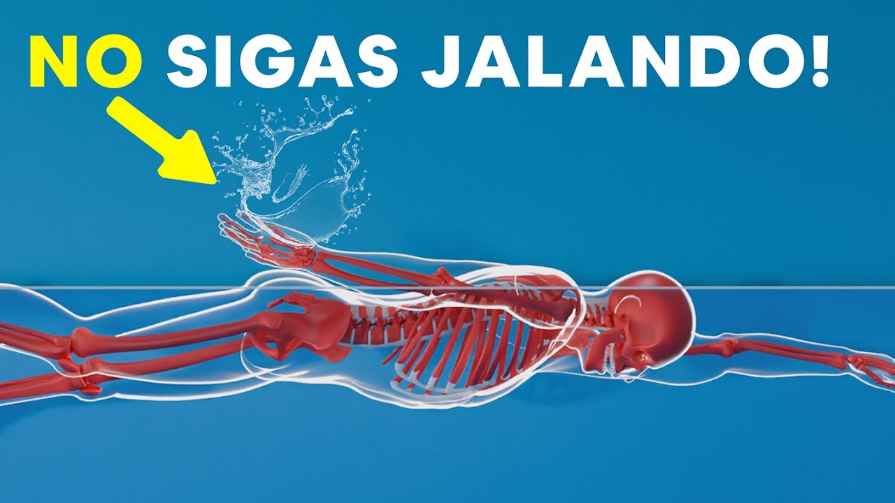 Lo Que Nadie Te Dijo Sobre Crol