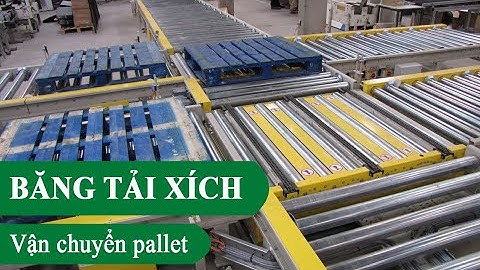 Băng tải xích chuyển pallet - Băng tải chuyển Pallet hàng